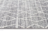 Evoke Remy Silver Transitional Runner Rug
