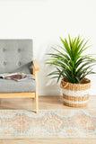 Legacy 853 Blue Runner Rug