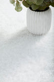 Sienna White Rug